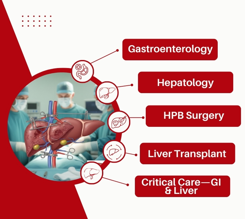 Your Liver Health - Our Priority
